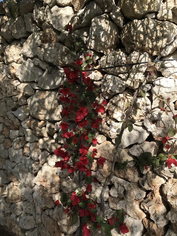 توري تشيانكا Masseria Gelsi المظهر الخارجي الصورة