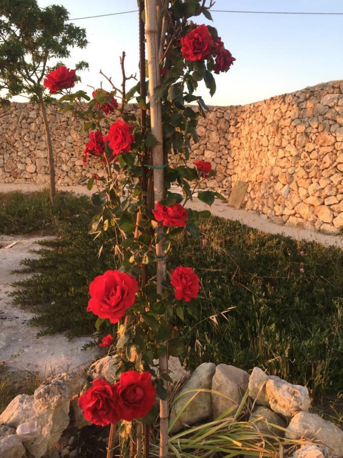 توري تشيانكا Masseria Gelsi المظهر الخارجي الصورة